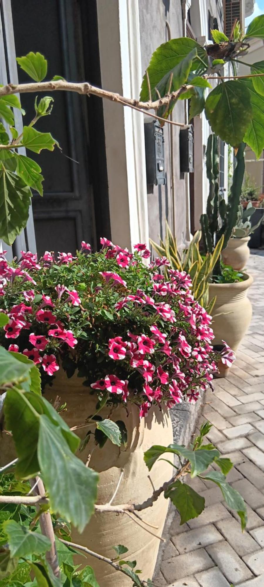Elvira Home Catania Exterior photo